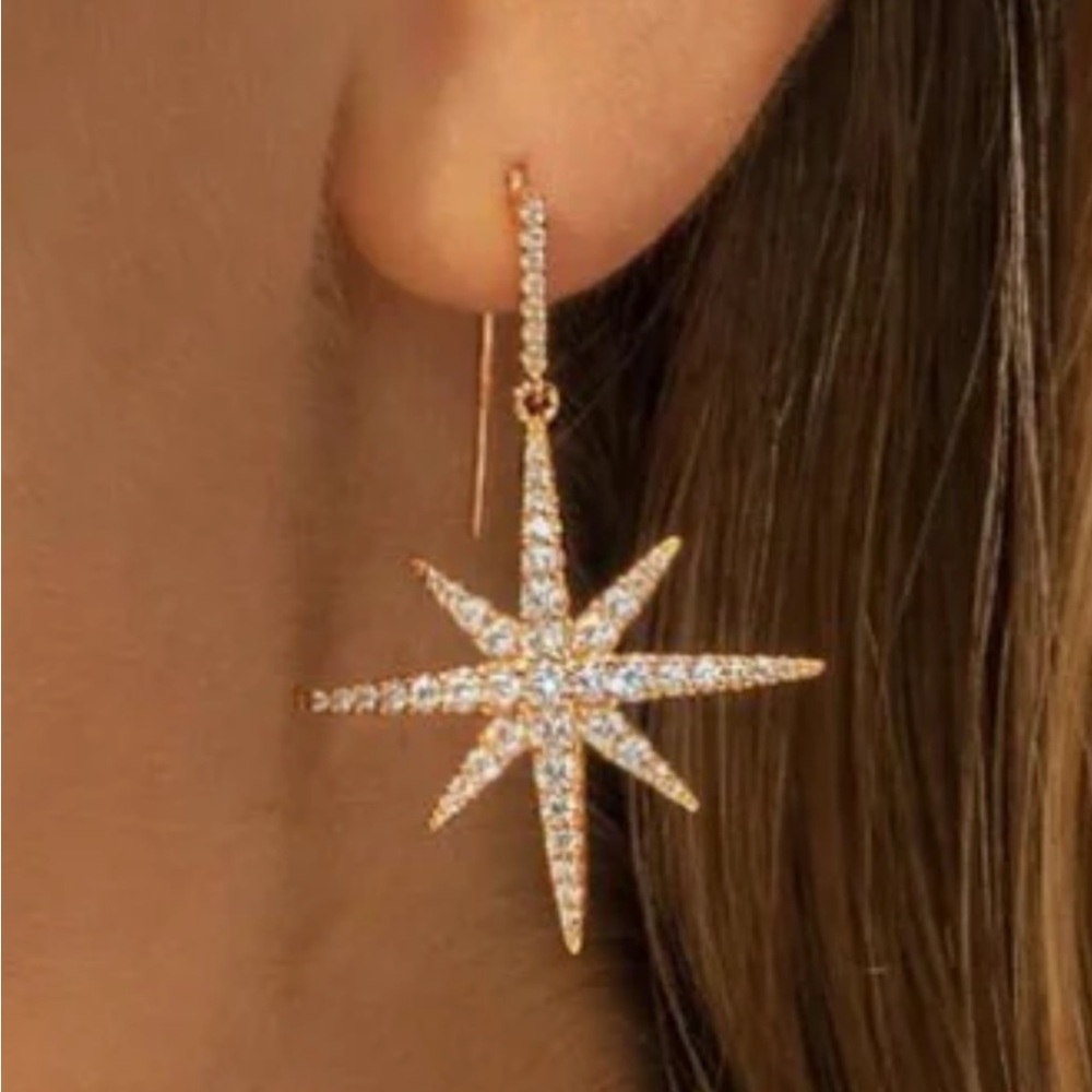 APM Monaco Meteorite Drop Earring - rose gold